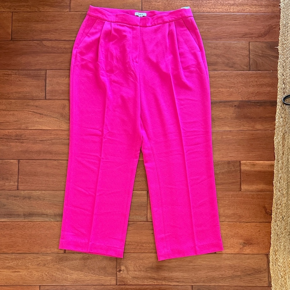 Bar III Vibrant Pink Trousers Size 14